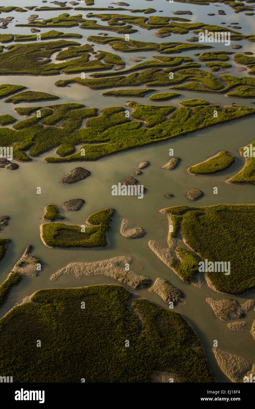 Aerial view of the islands created by tidal flow in the marsh in