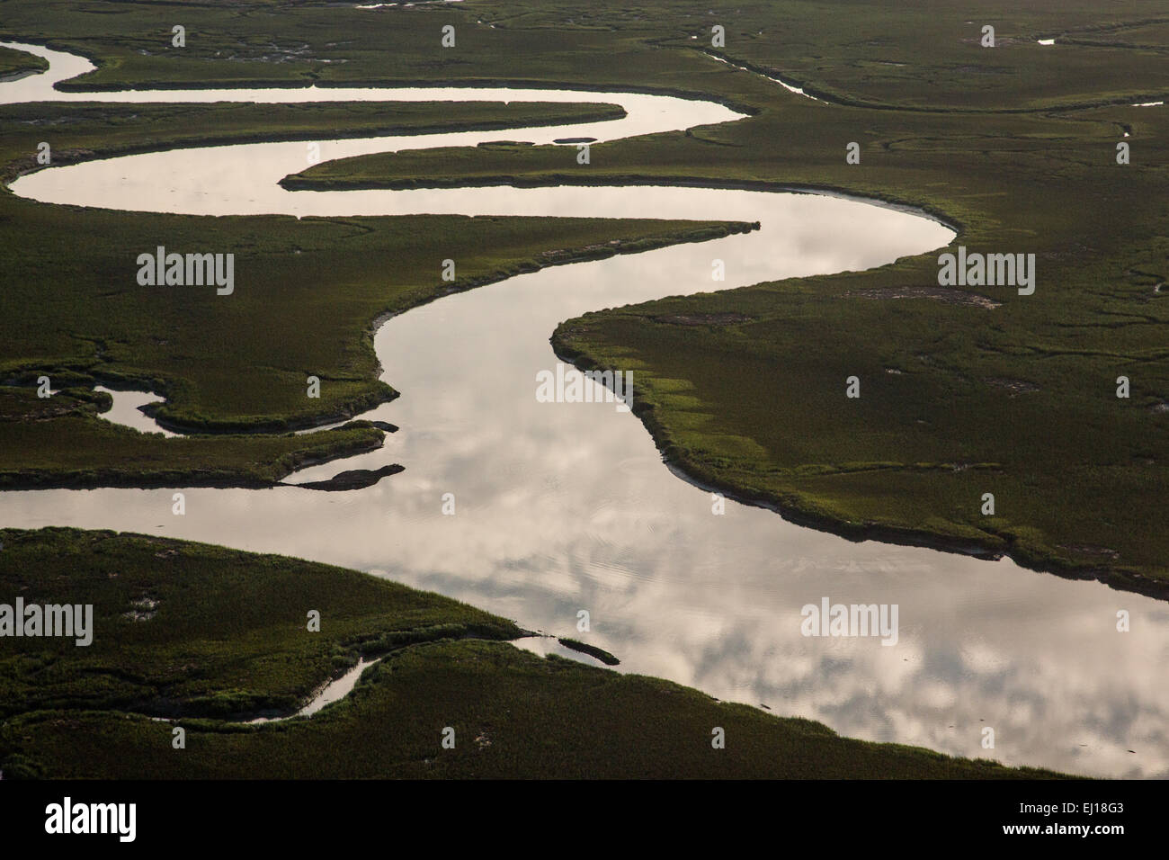 Aerial view of the tidal marsh in Charleston, SC Stock Photo Alamy