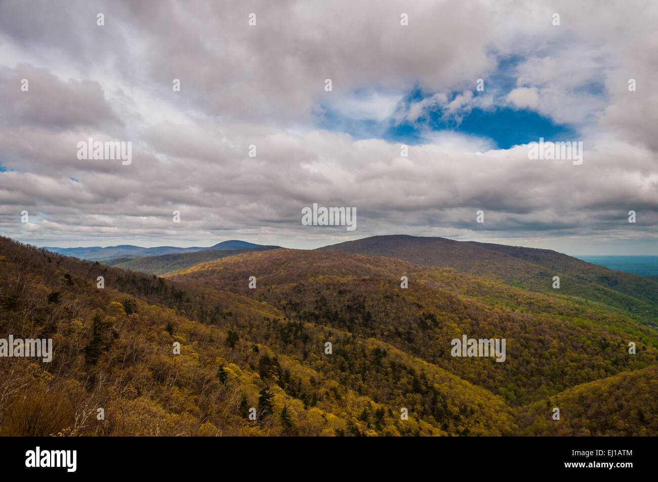 Early spring view of the Blue Ridge Mountains, from Skyline Drive in ...