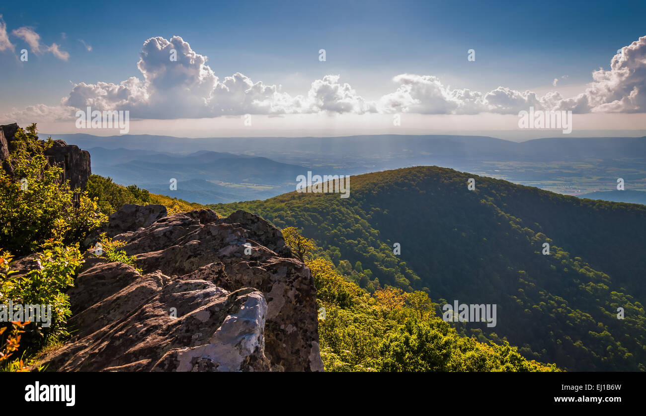 Evening view from cliffs on Hawksbill Summit, in Shenandoah National Park, Virginia. Stock Photo
