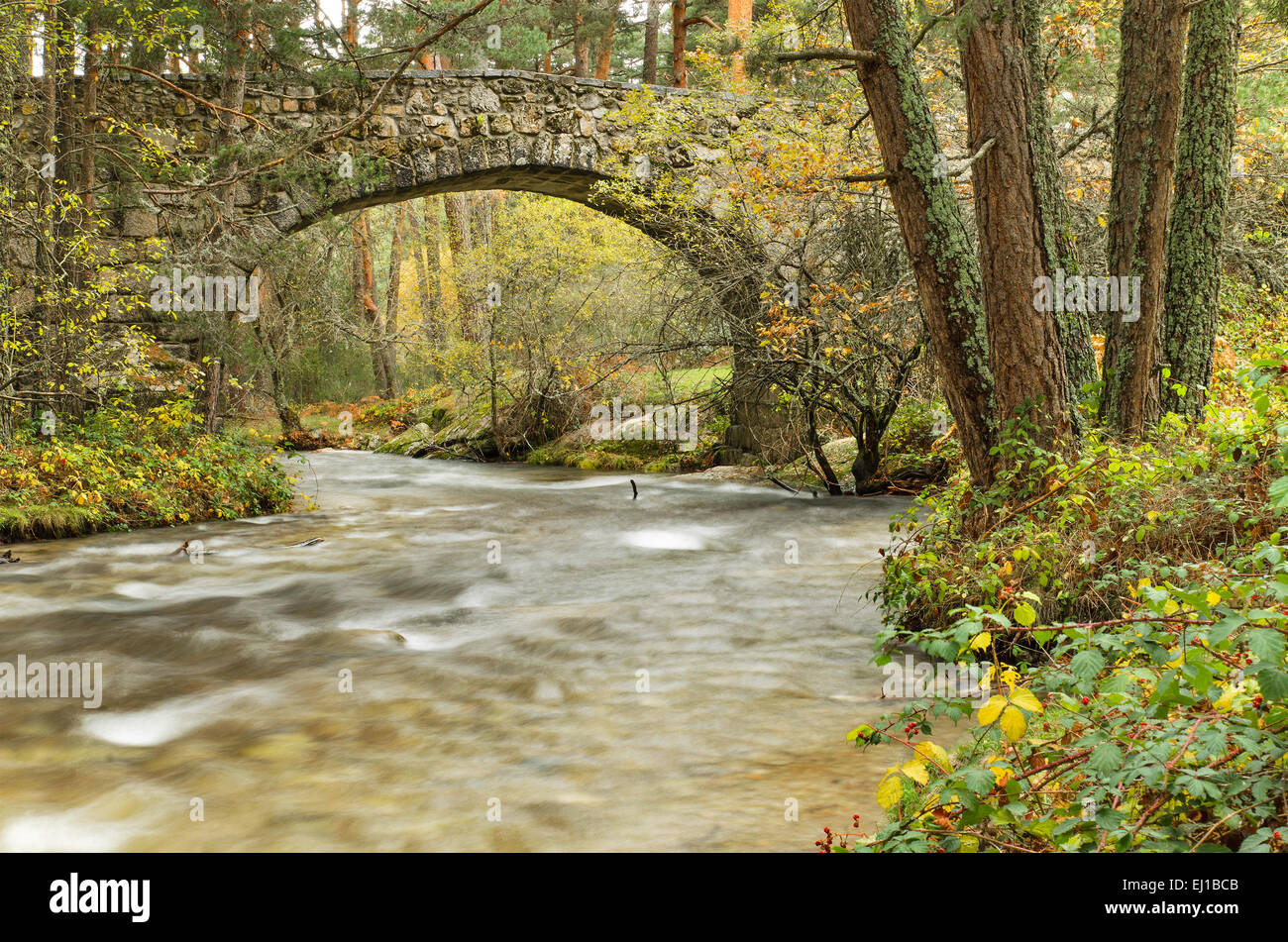 Scenic view of a river in the forest in Boca del Asno natural park on a rainy day in Segovia, Spain. Stock Photo