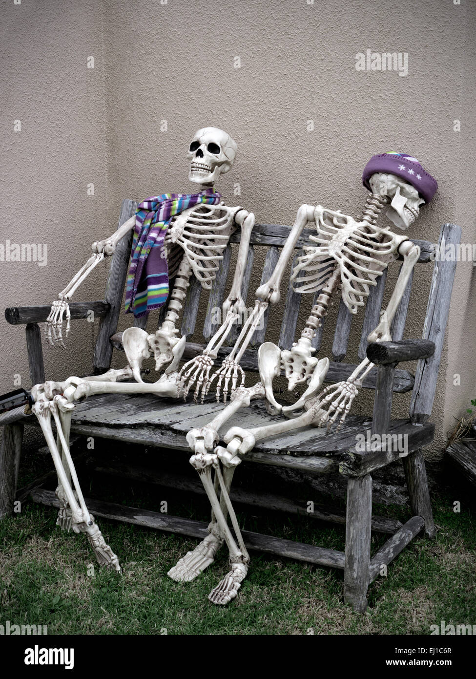 SKELETONS SITTING BENCH OUTDOORS FUN WAITING Conceptual dark humour image of two skeletons sitting waiting a lifetime together on a garden bench Stock Photo
