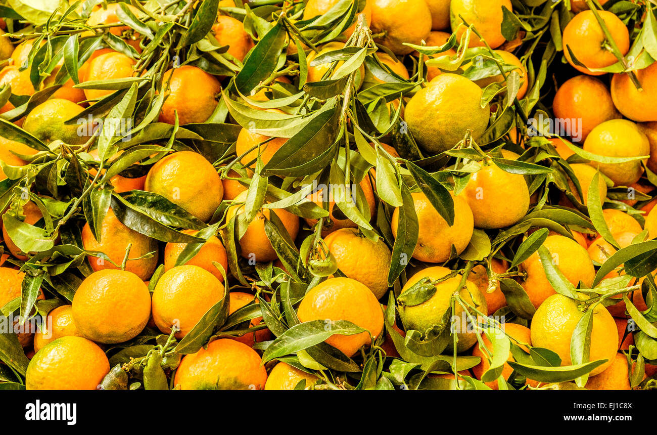 Pomogranates hires stock photography and images Alamy