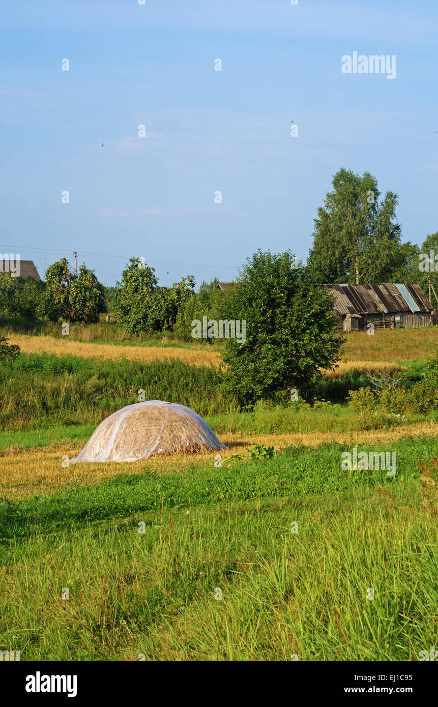 Rural landscape. Village garden with straw stack Stock Photo - Alamy