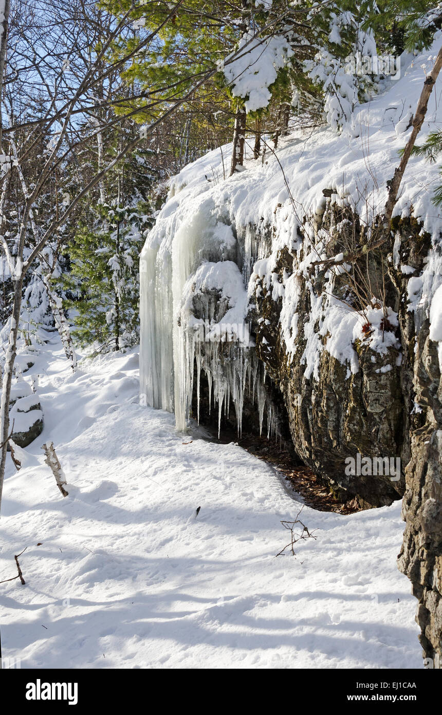 Icicles cover a cliff in Acadia National Park, Bar Harbor, Maine. Stock Photo