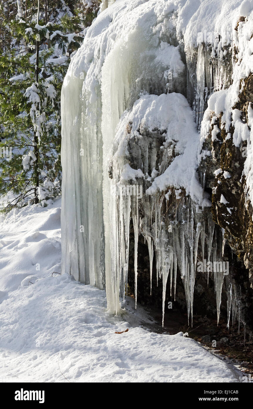 Icicles drip from a cliff in Acadia National Park, Bar Harbor, Maine. Stock Photo