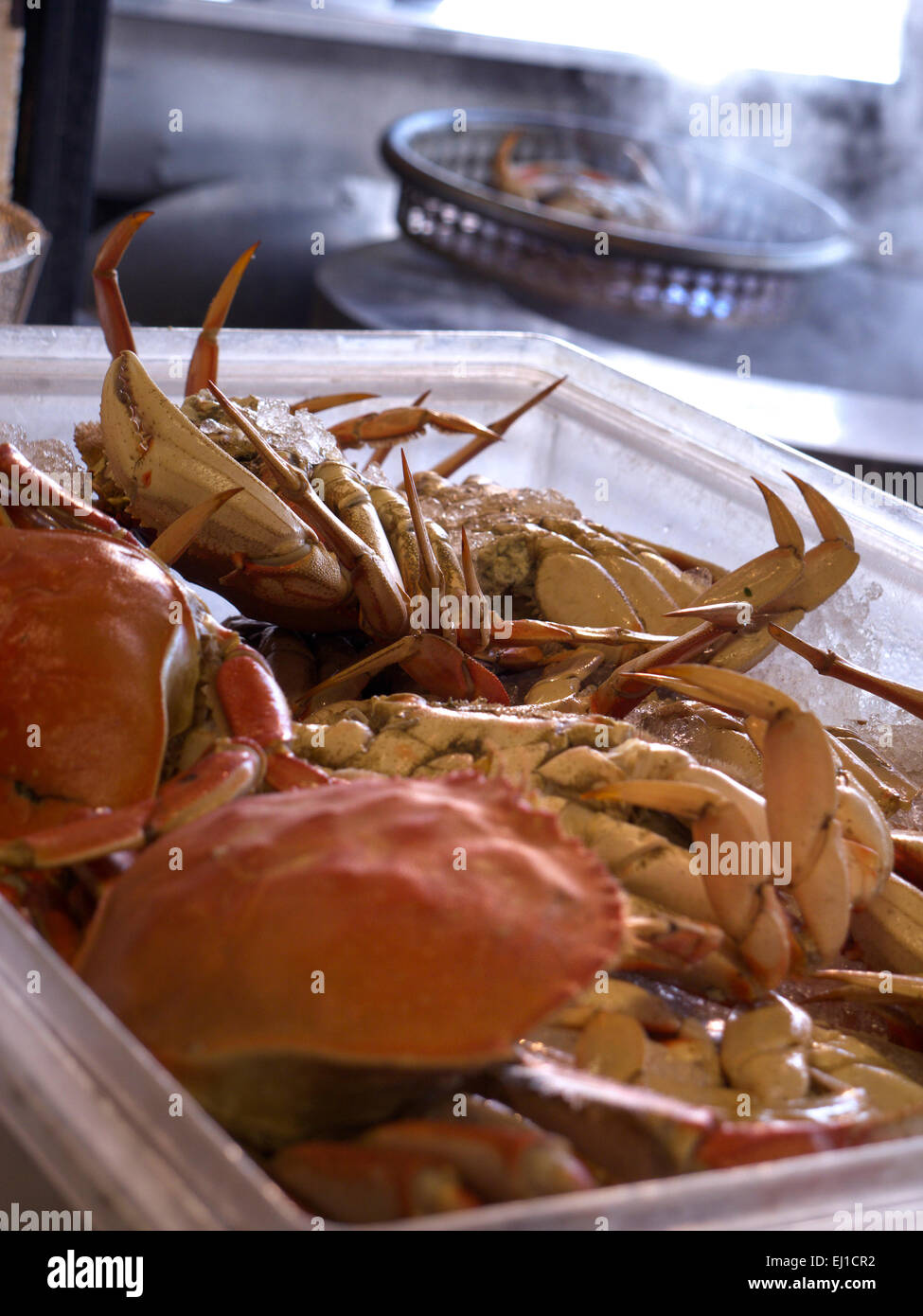 FISHERMANS WHARF CRAB Fresh Dungeness crabs at Fisherman's Wharf Grotto