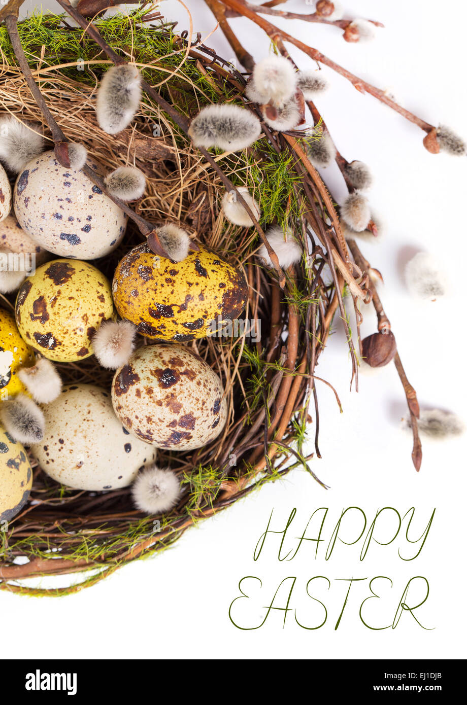 Easter eggs in the nest on a white background Stock Photo - Alamy