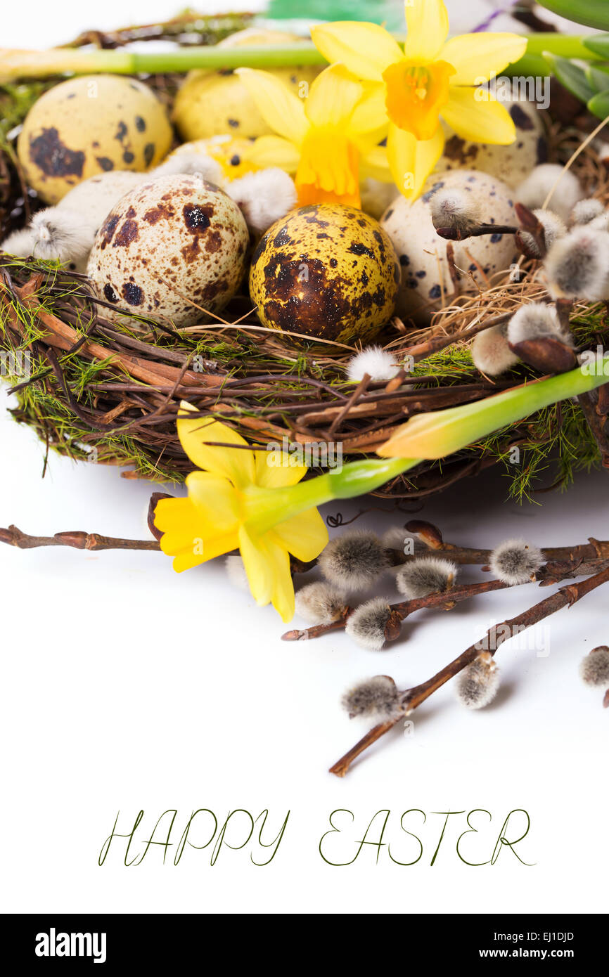 Easter eggs in the nest on a white background Stock Photo - Alamy