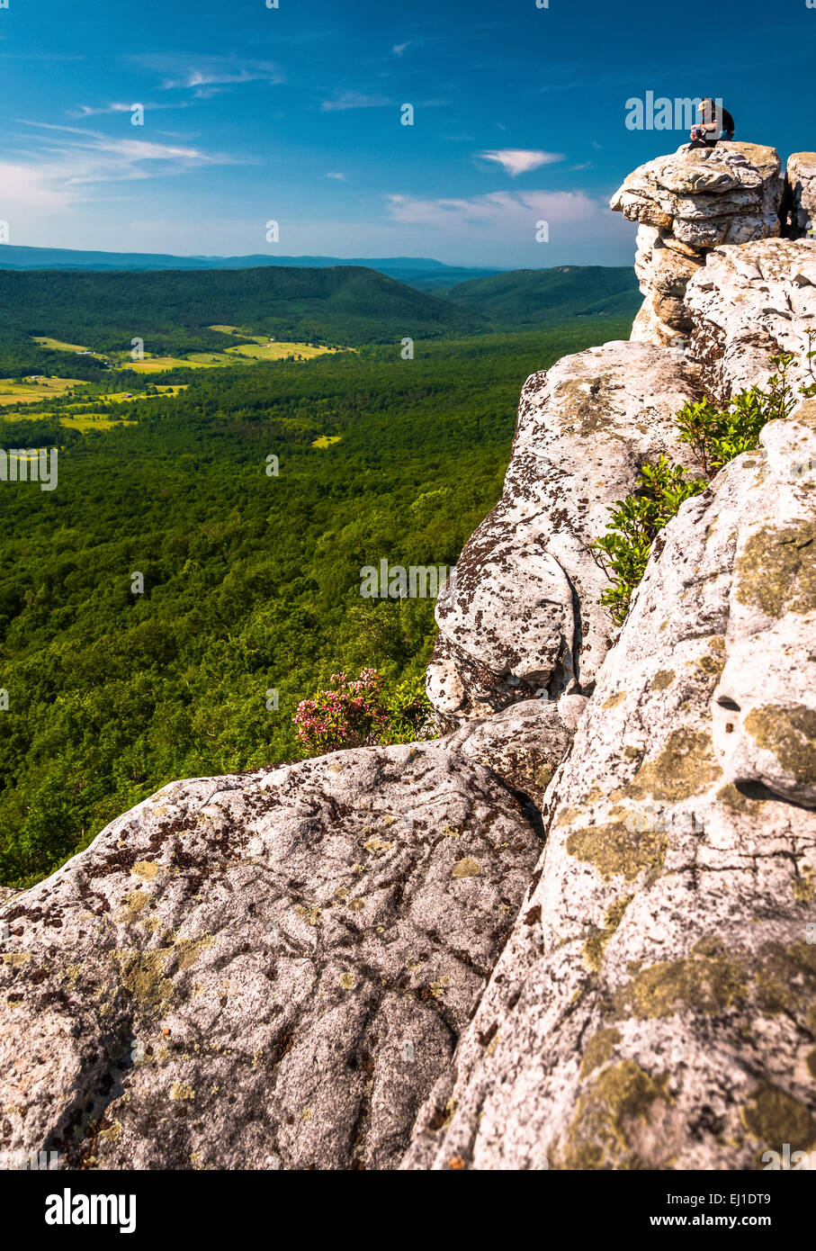 Hikers and view from a cliff on Big Schloss, in Washington National Forest, VA Stock