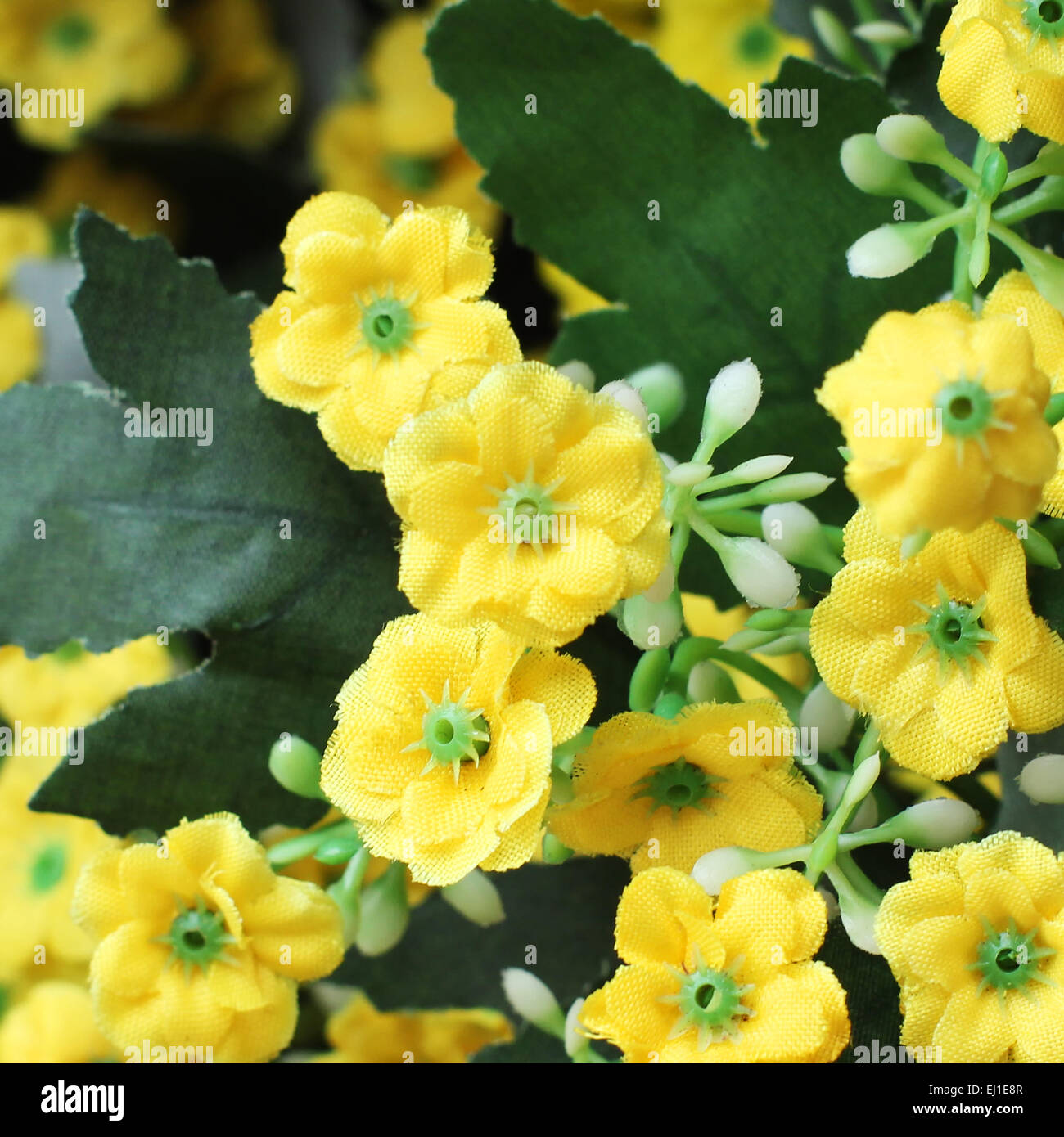 Colorful of decoration artificial flower Stock Photo