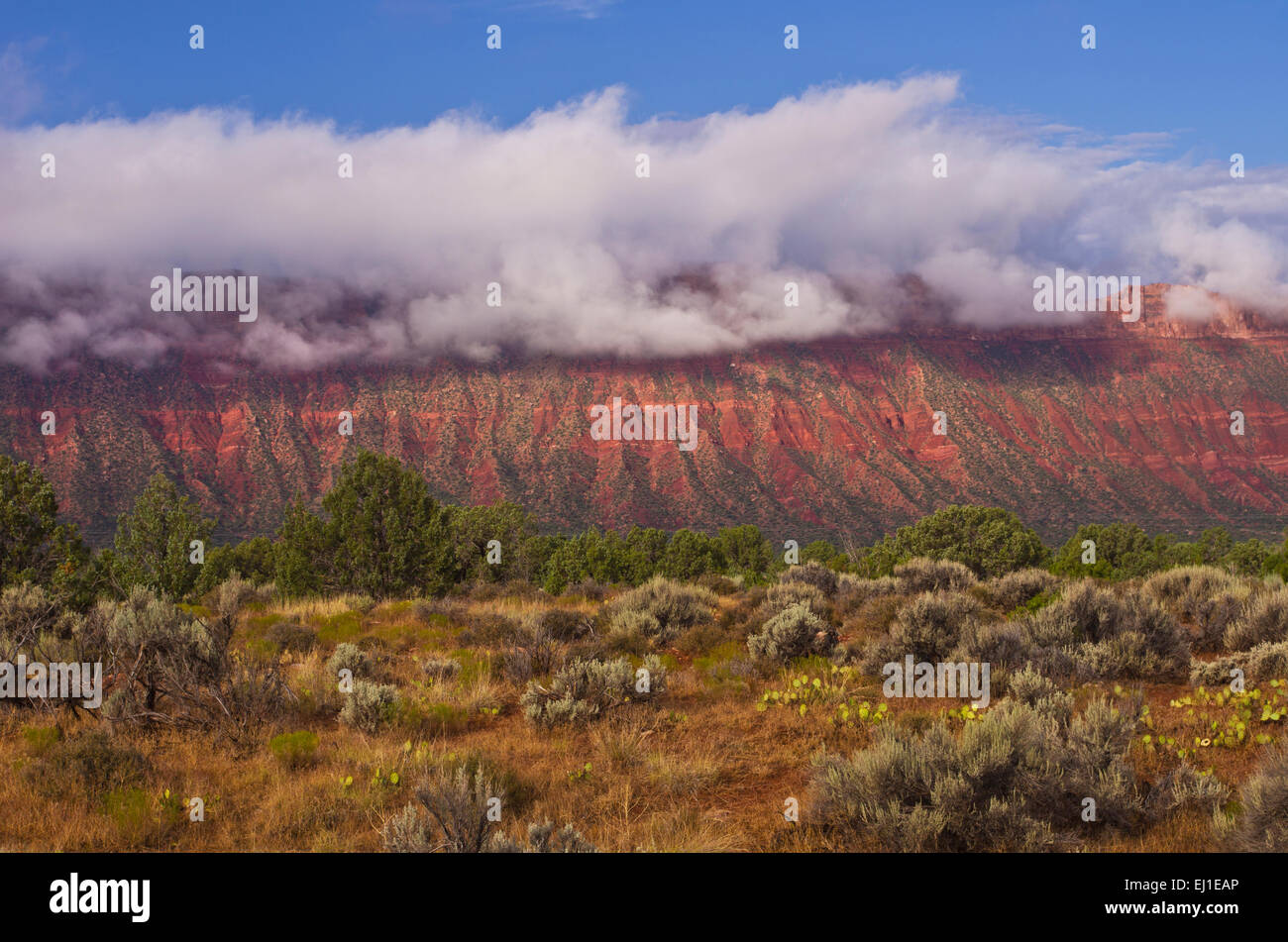 Clouds sit on cliffs above Castle Valley at dawn, Utah, United States. Stock Photo
