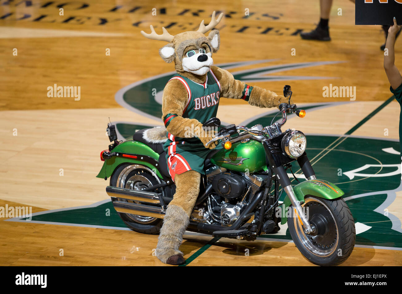 How much do mascots get paid? r/nba
