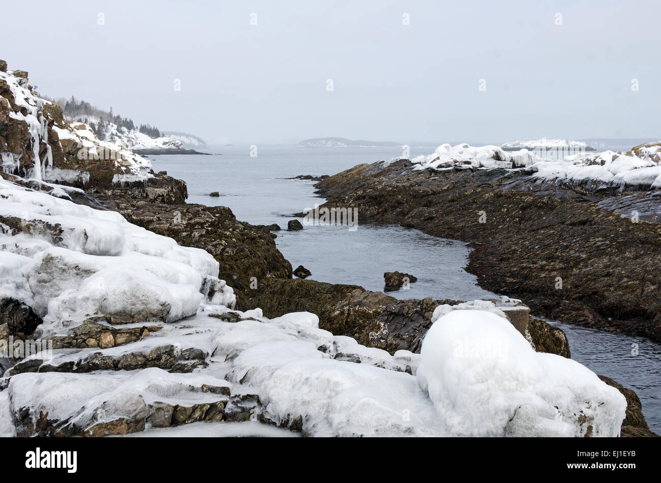 Snow falling on the icecovered coast of Acadia National Park, Bar