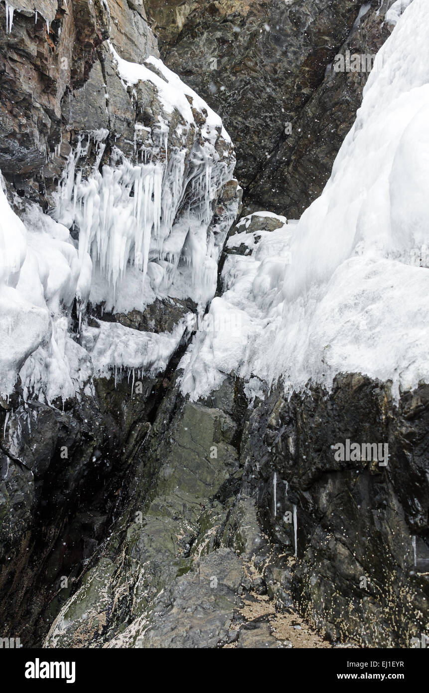 frozen snow spray