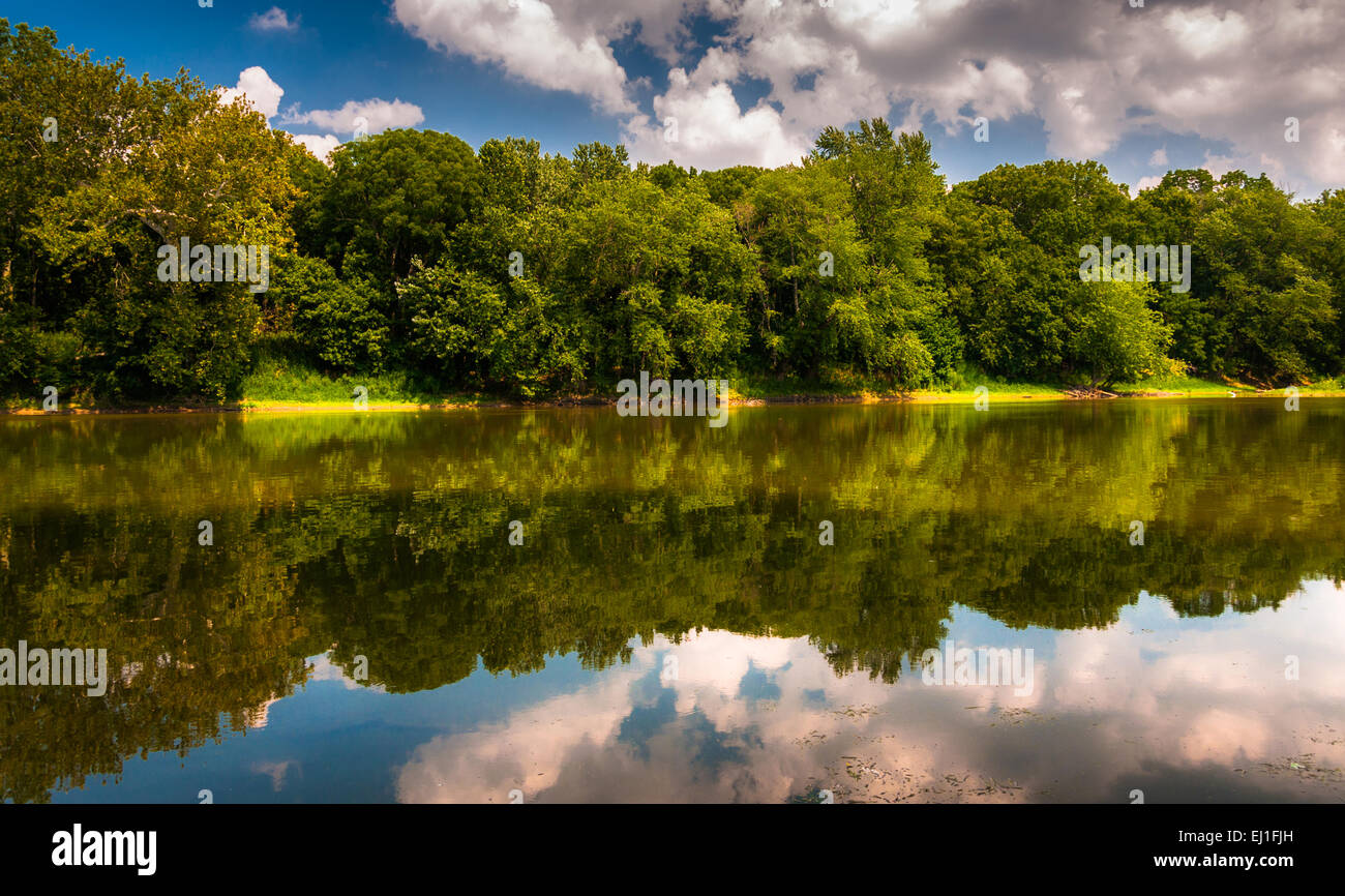 Reflection of trees and clouds in the Potomac River, at Balls Bluff