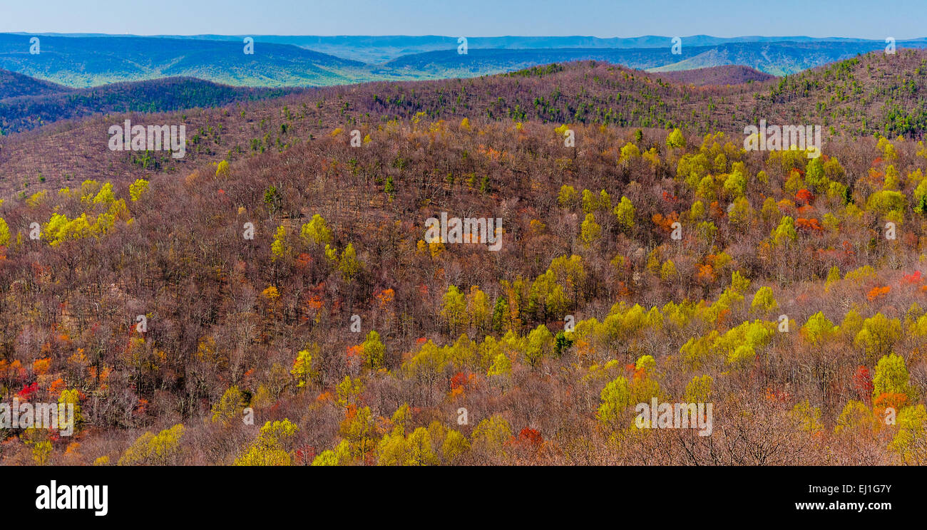 Signs of spring in the Blue Ridge, seen from Skyline Drive in Shenandoah National Park, Virginia. Stock Photo