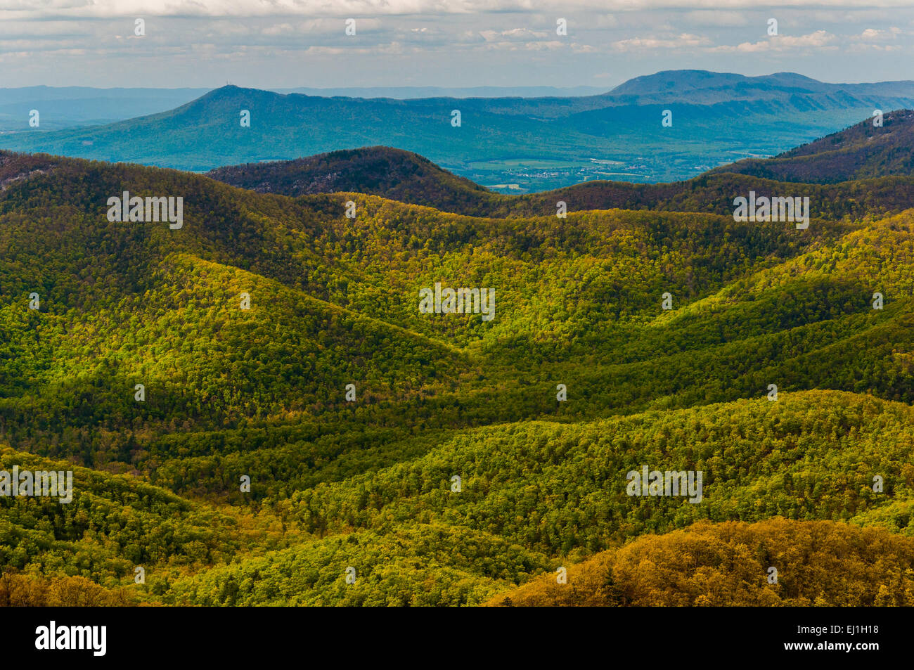 Spring colors in the Appalachian Mountains, seen from Blackrock Summit in Shenandoah National Park, Virginia. Stock Photo