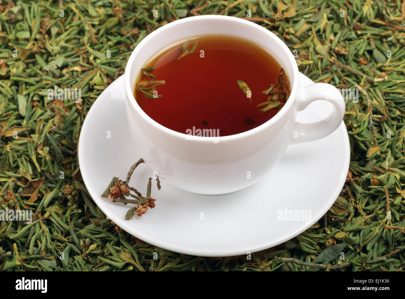 A cup of tea with the addition of herb against the background Rhododendron adamsii Stock Photo