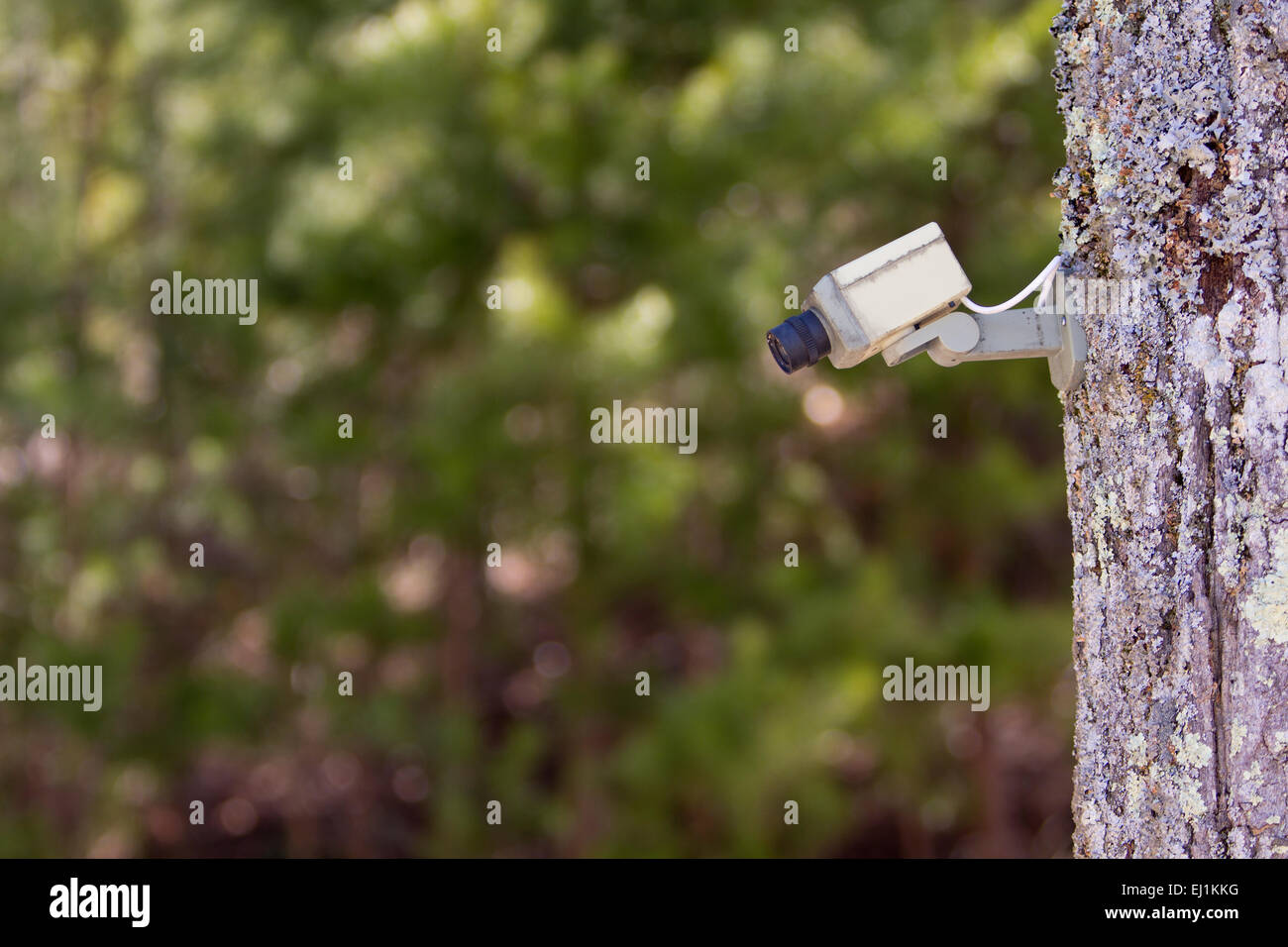 Fake security camera system Stock Photo Alamy