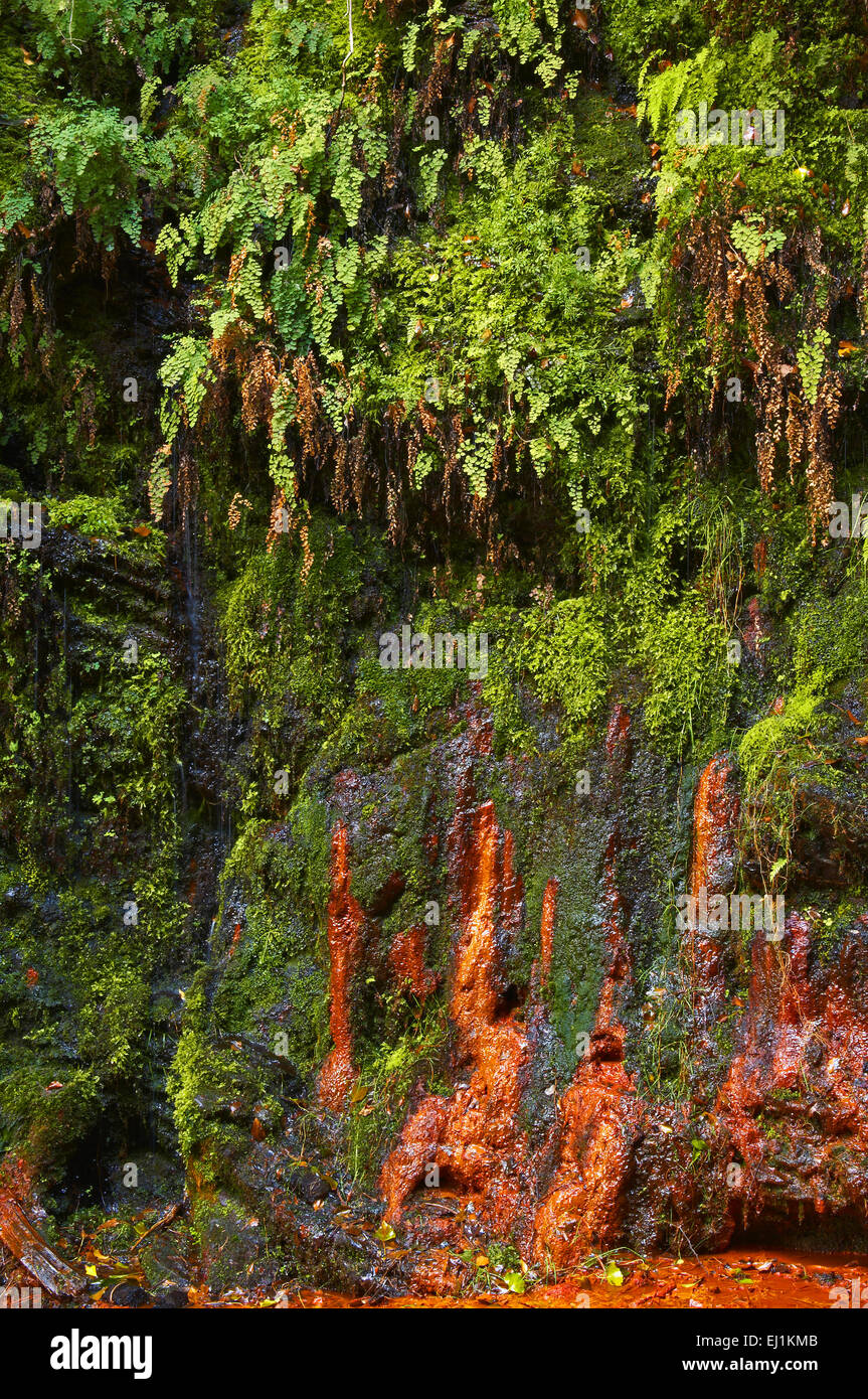 Portugos, Streams of sour fountain, Las alpujarras, Granada Province, Alpujarras Mountains area, Andalusia, Spain Stock Photo