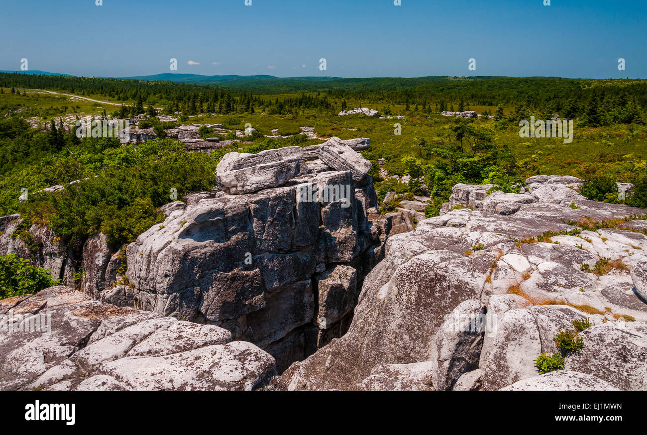 The rugged, rocky terrain of Bear Rocks, in Dolly Sods Wilderness ...