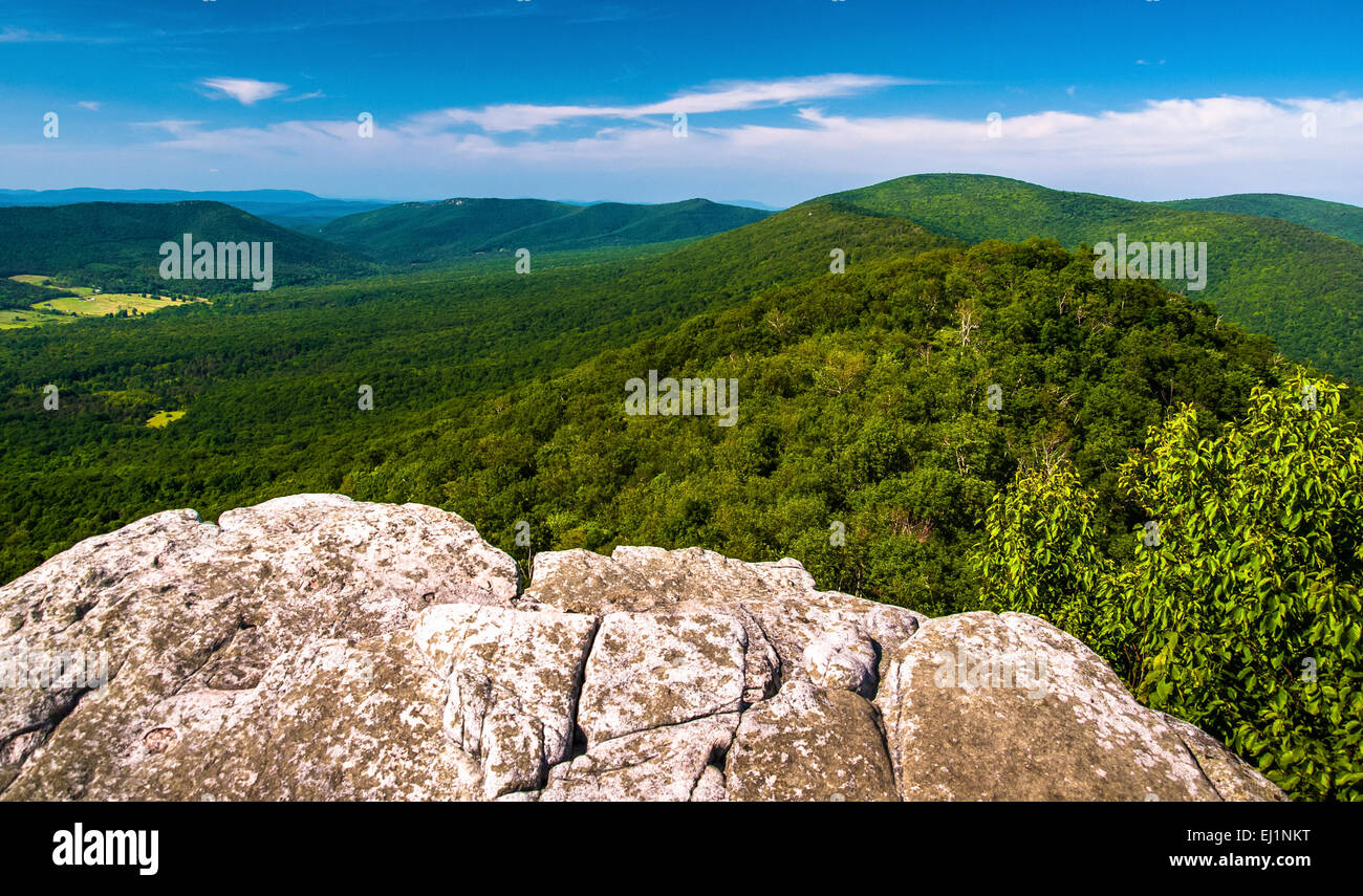 washington national forest hires stock photography and images