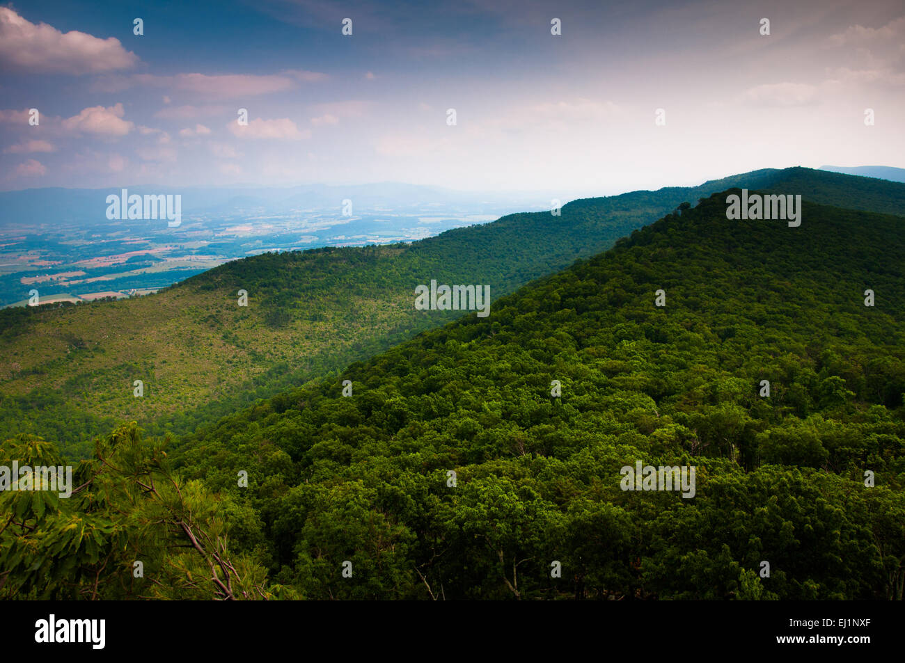 View of the Appalachian Mountains from Duncan Knob, Washington
