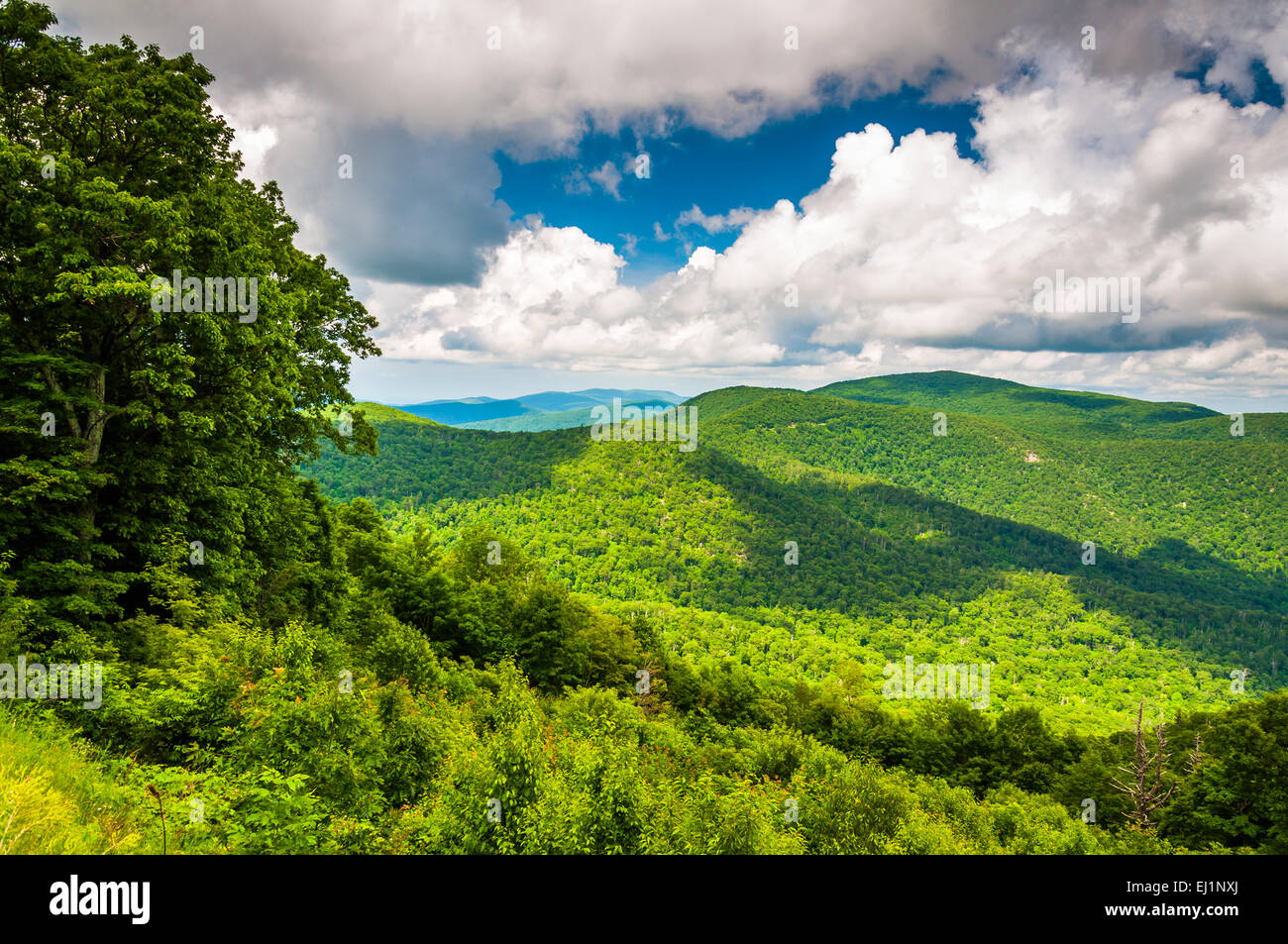  View of the Appalachian Mountains from Skyline Drive in Shenandoah Illustration 