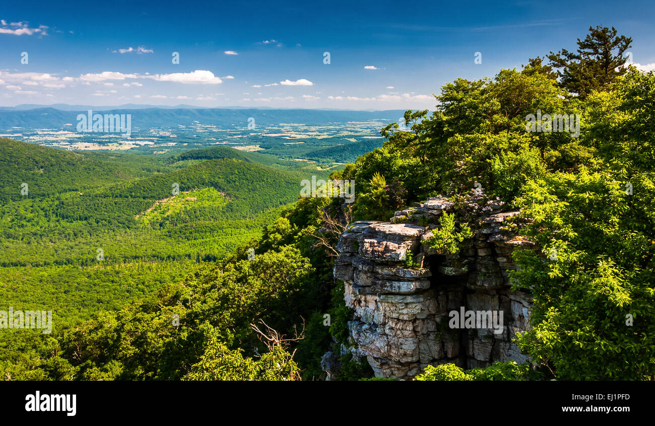 washington national forest hires stock photography and images
