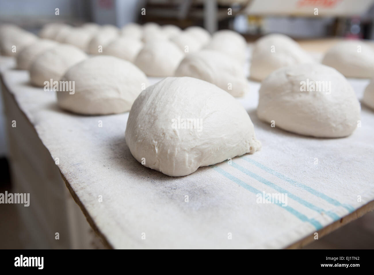 Raw pieces of bread dough before fermentation. Manufacturing process of