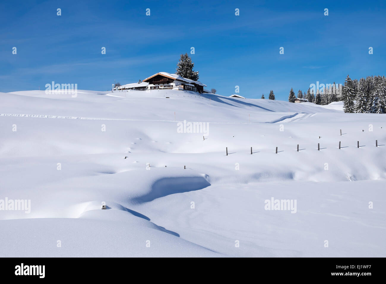 Winklmoosalm alp, Reit im Winkl, Chiemgau Alps, Upper Bavaria, Bavaria, Germany Stock Photo