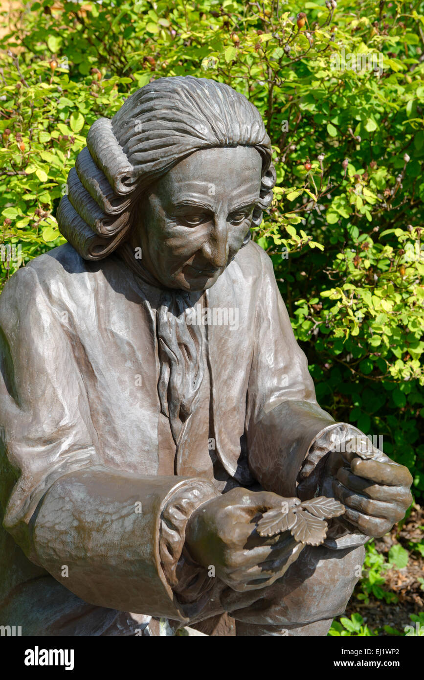 Statue of Carl Linnaeus, natural scientist, rose garden Skansen, Djugarden, Stockholm, Sweden Stock Photo