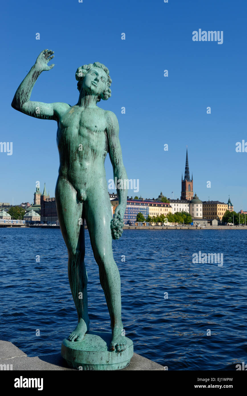 Statue of Carl Eldh Song in front of the town hall, historic centre Gamla Stan and Riddarholmen behind, Stadshus, stadshuset Stock Photo