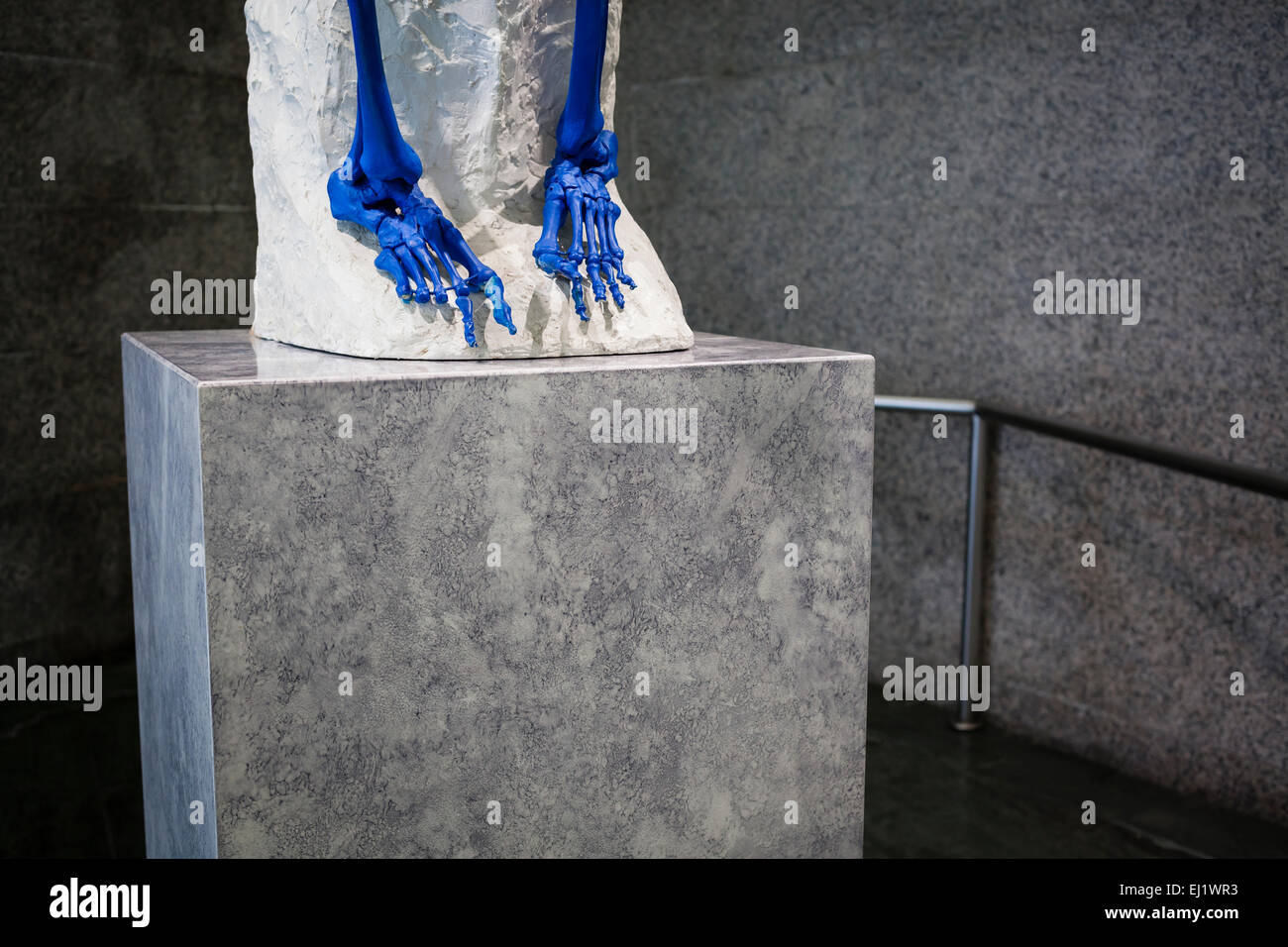 Blue skeleton at Domus or House of Mankind. A Coruña. Galicia. Spain. Stock Photo
