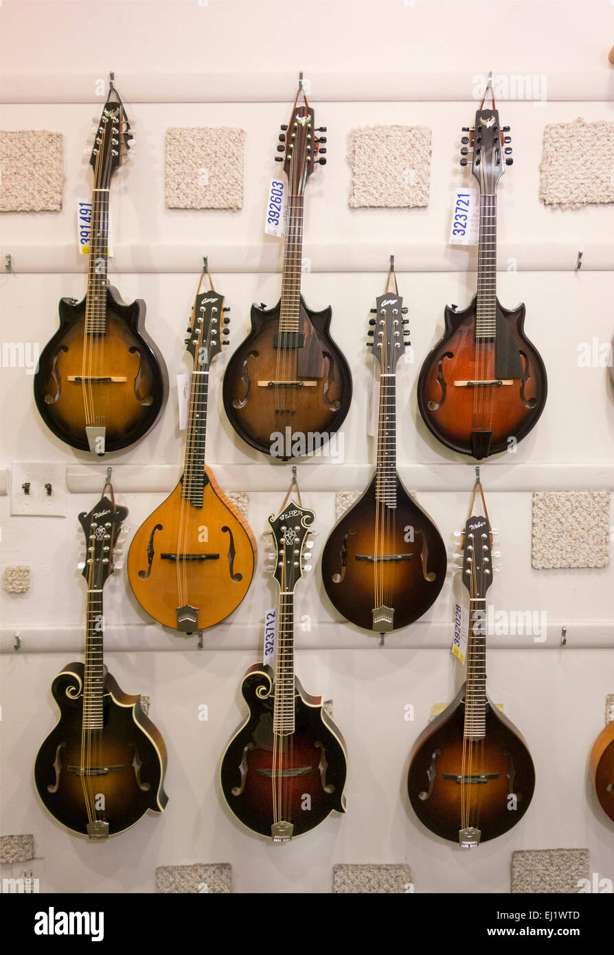 Mandolin Brothers showroom in Staten Island NYC Stock Photo Alamy