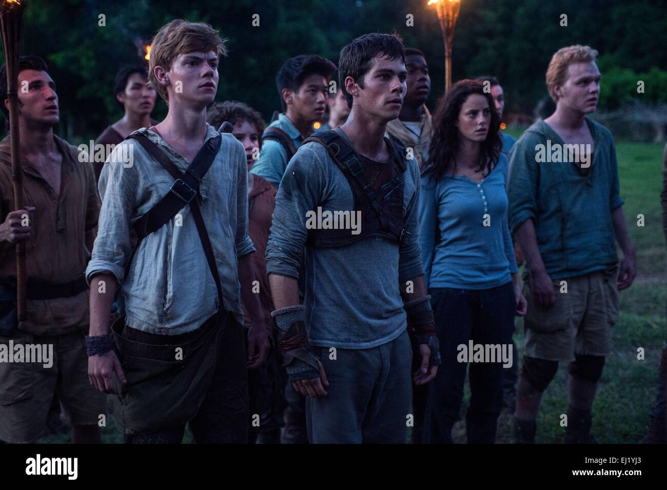 The Maze Runner Year : 2014 USA Director : Wes Ball Thomas Brodie