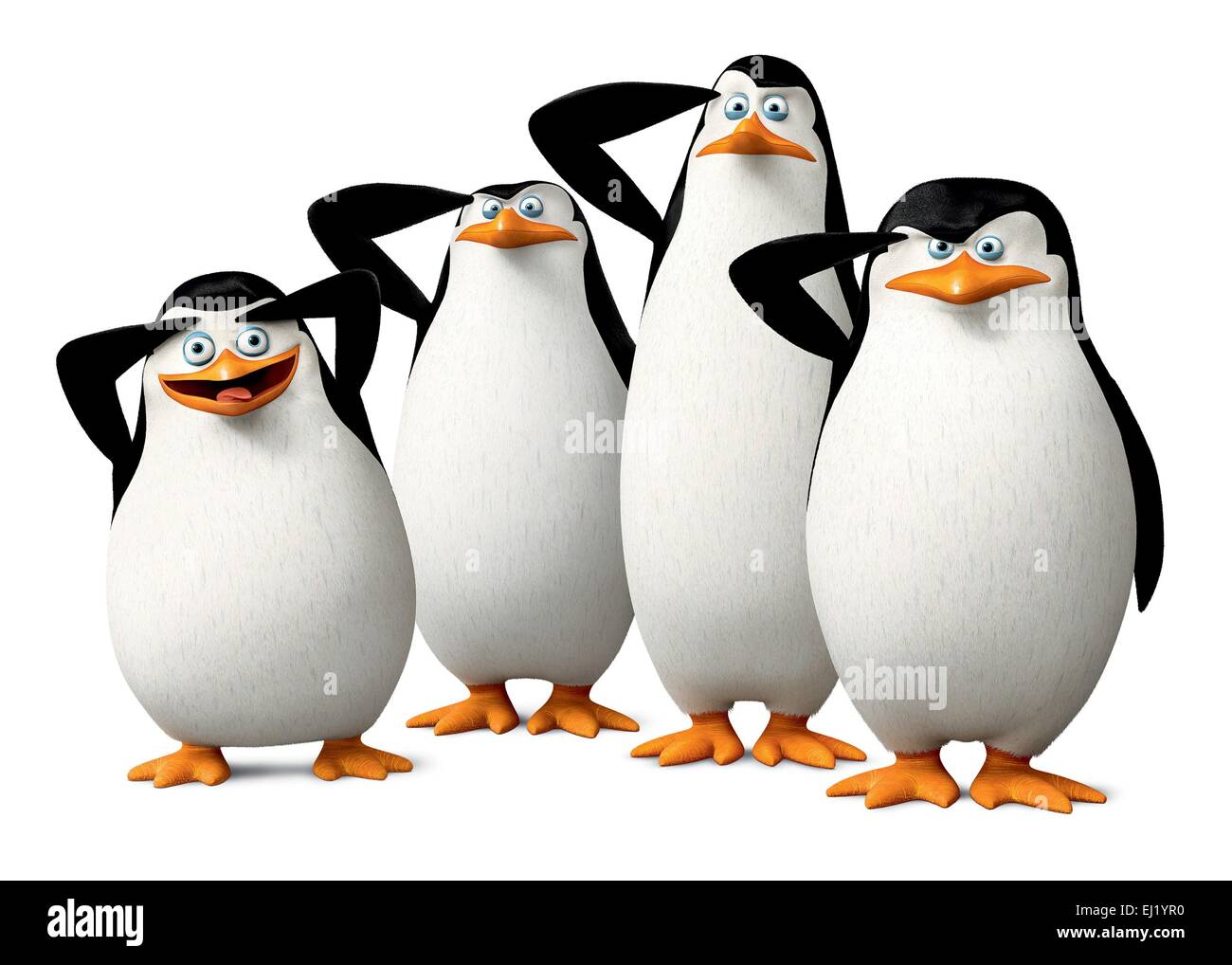 The Penguins of Madagascar Year : 2014 USA Director : Eric Darnell, Simon J. Smith Animation Stock Photo