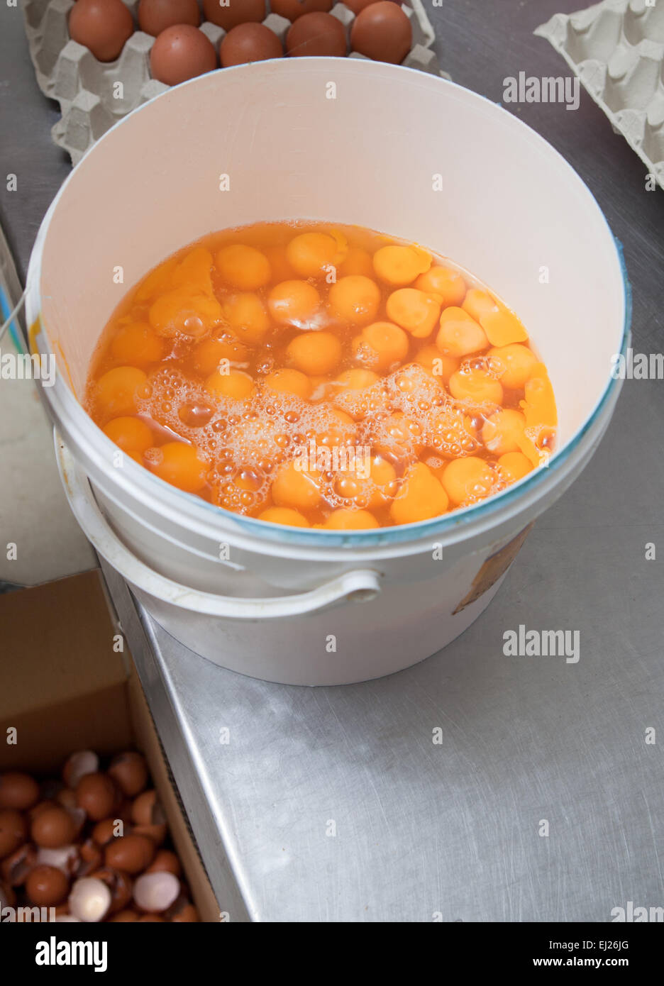 Eggs bucket. Handmade manufacturing process of spanish madeleines Stock Photo