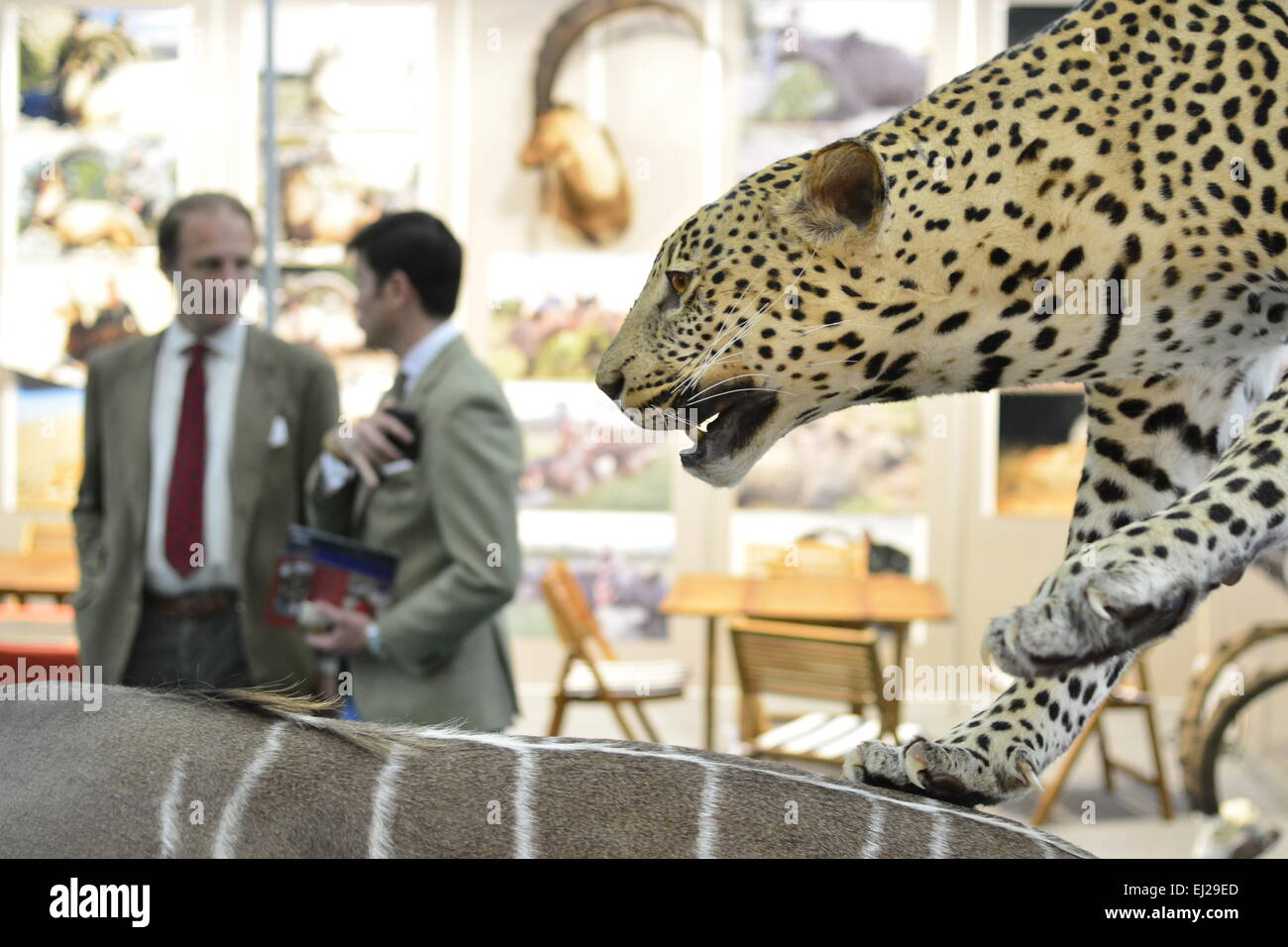 19th Mar 2015. Stuffed animals at Cinegetica International Hunting exhibition in Madrid Credit Marcos del Mazo Alamy Live News Stock Photo Alamy