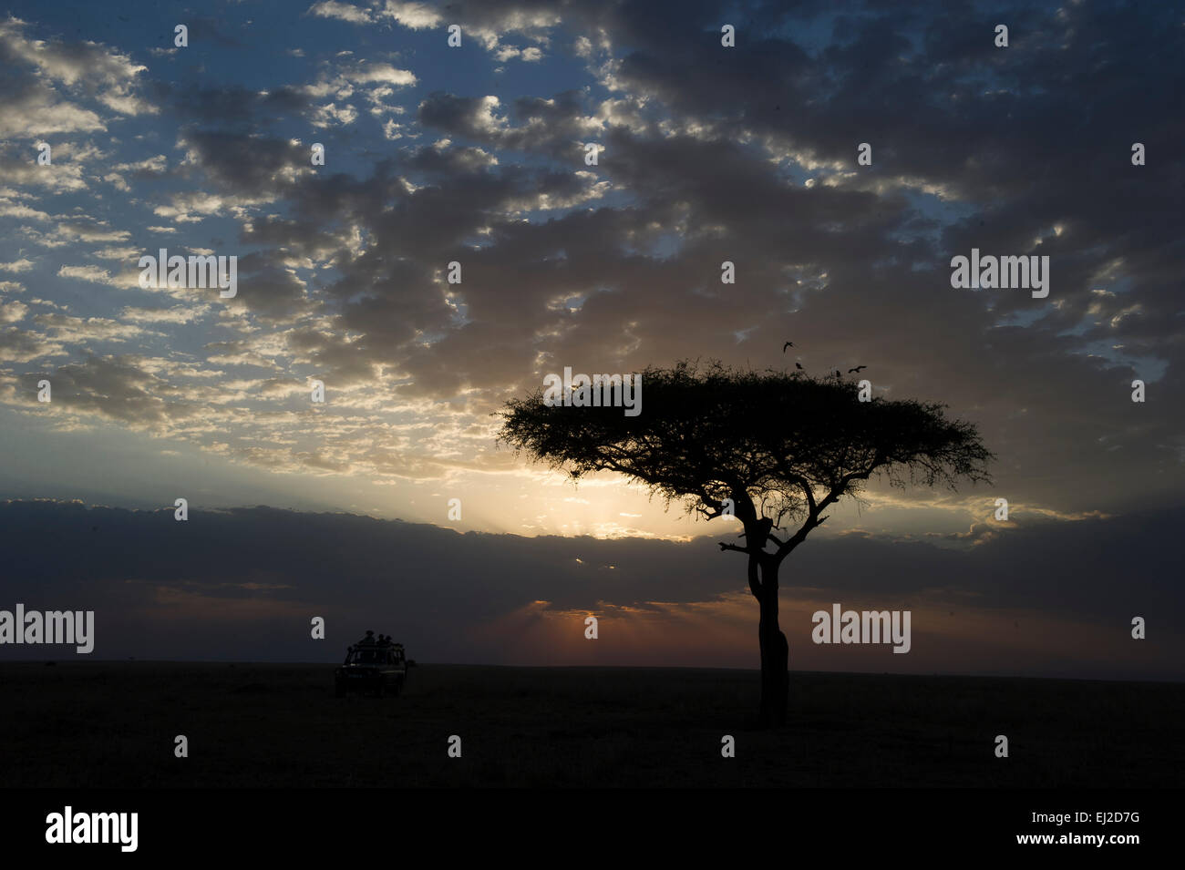 Massai mara sunset hi-res stock photography and images - Alamy