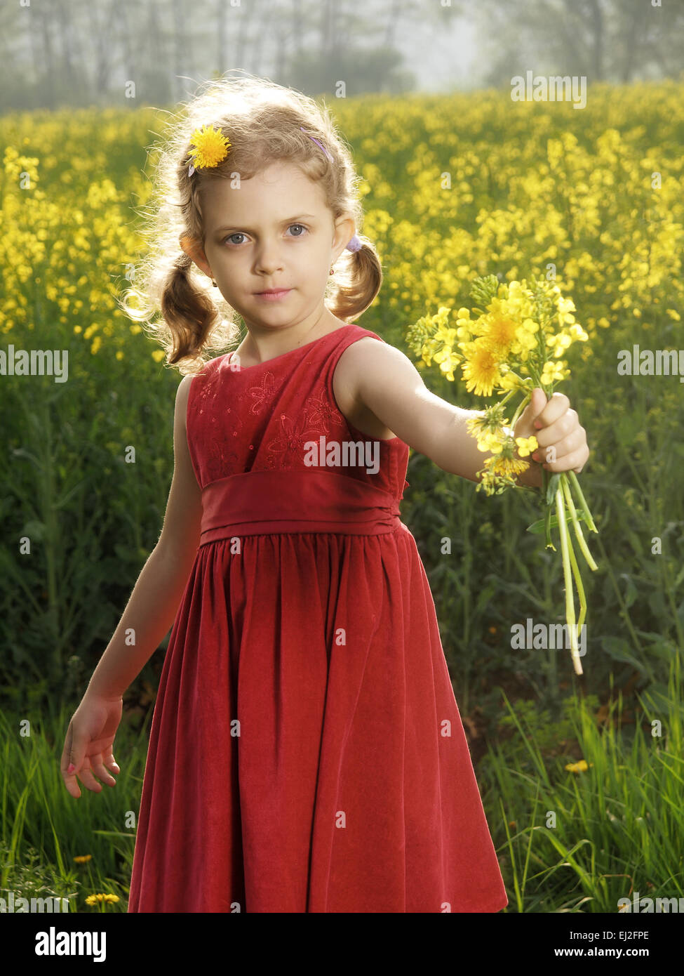 Outdoor little girl with bouquet of dandelions Stock Photo - Alamy