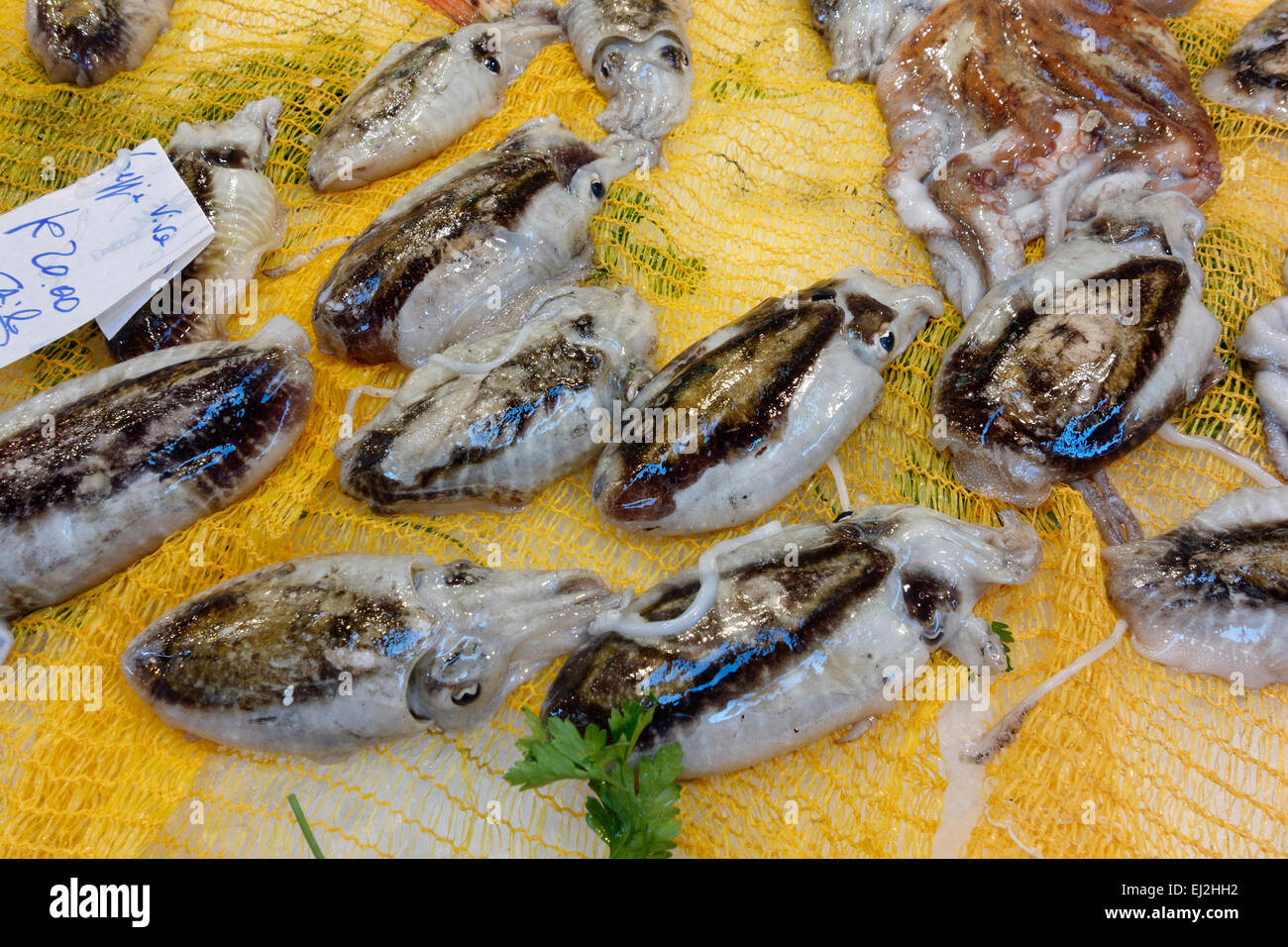 Cuttlefish on market stall hi-res stock photography and images - Alamy