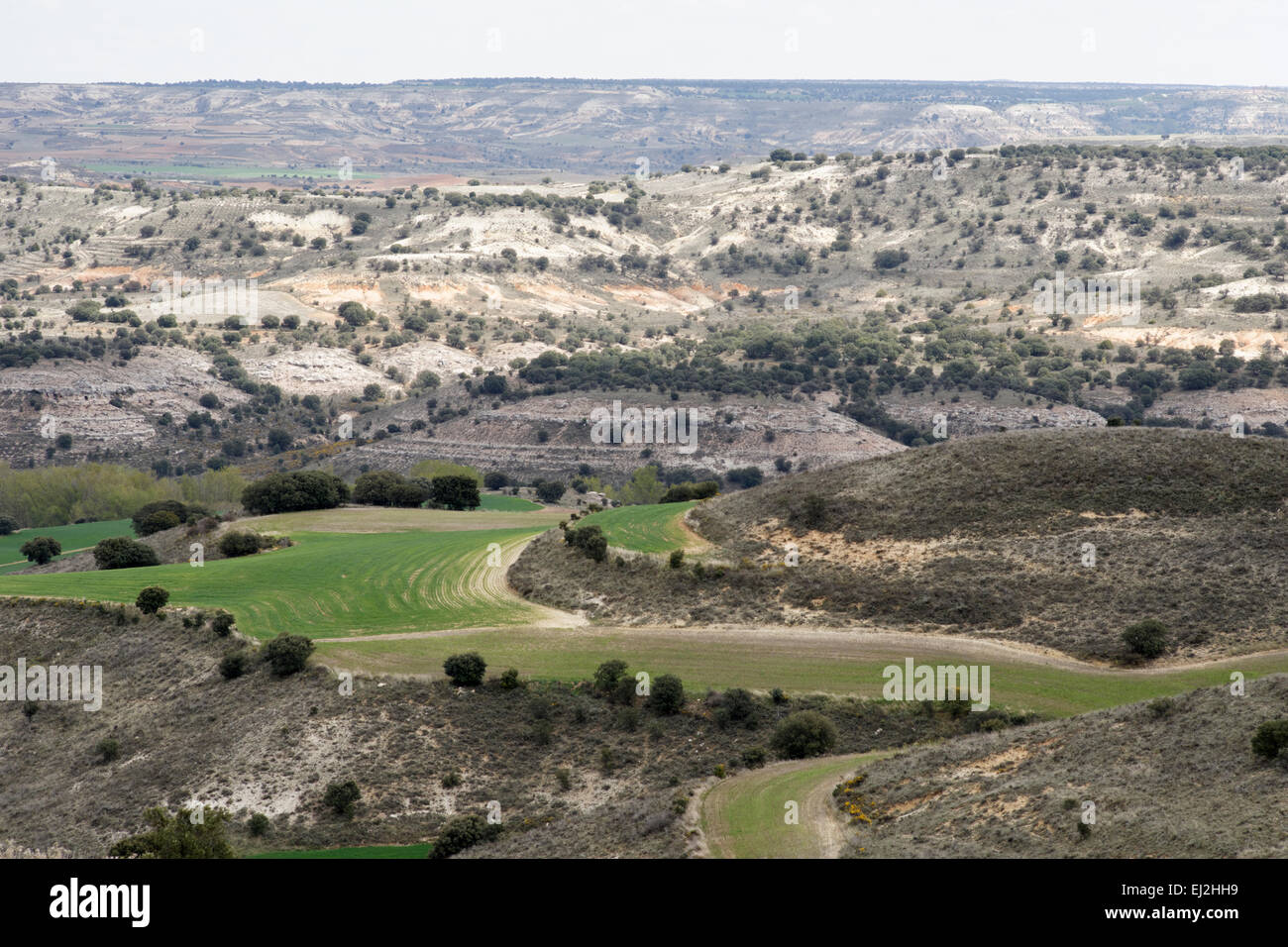 landscape-in-soria-province-spain-stock-photo-alamy