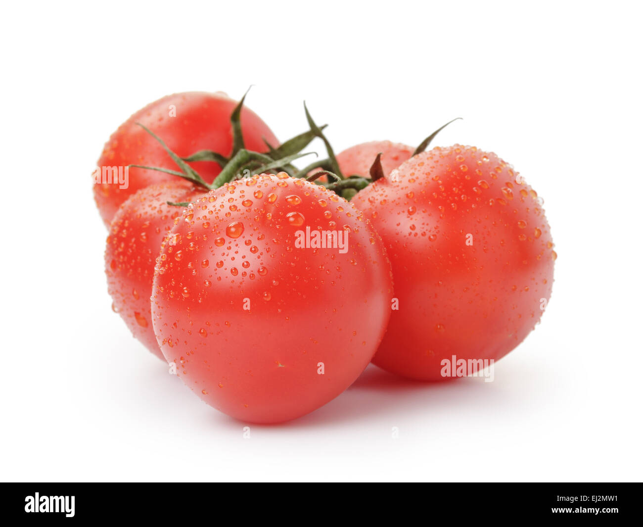 ripe wet red tomatoes with branch isolated Stock Photo - Alamy