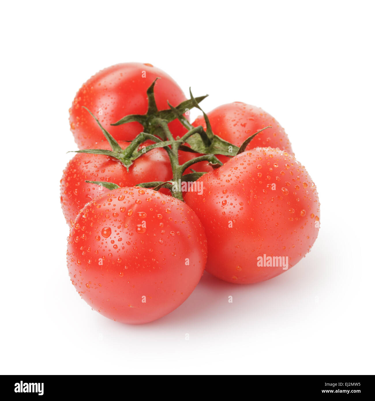 ripe wet red tomatoes with branch isolated Stock Photo - Alamy