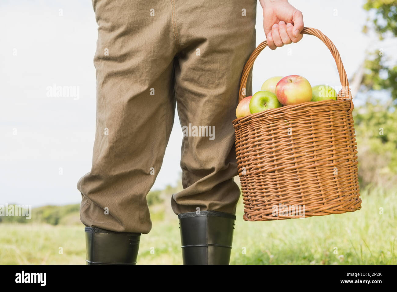 Farmer holding basket of apples Stock Photo - Alamy
