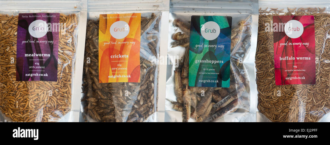 Edible insects. Grasshoppers, Buffalo Worms, Crickets and Mealworms in packets. Food of the future Stock Photo