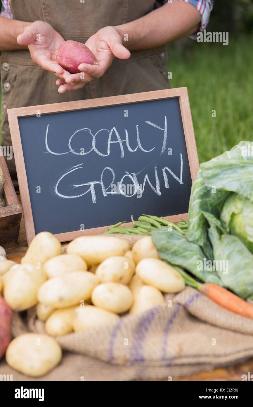 Farmer selling organic veg at market Stock Photo - Alamy