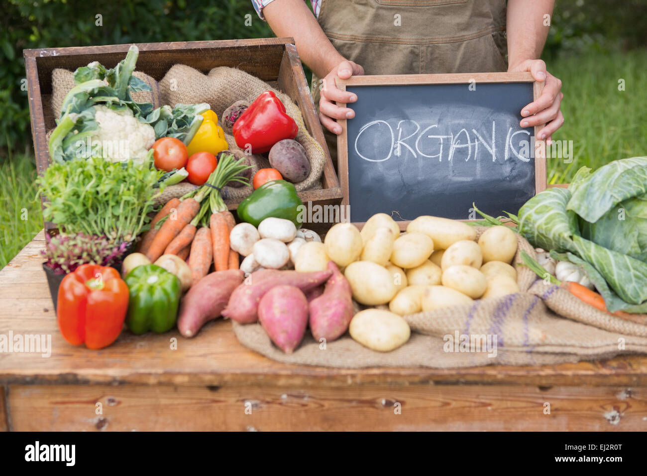 Farmer selling organic veg at market Stock Photo - Alamy